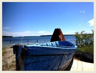 Barque