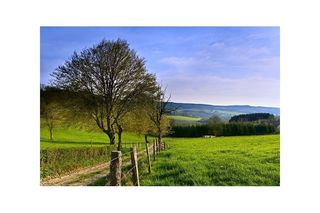 Ardennes -  Entre lointain et réel -