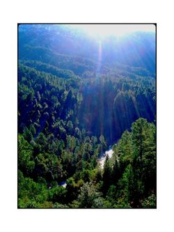 De toutes parts, les versants boisés des montagnes nous entourent.