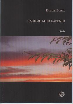 Didier Pobel, Un beau soir l'avenir