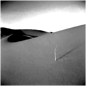 Désert de vent