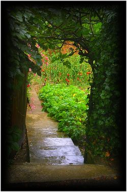 Le potager primeur