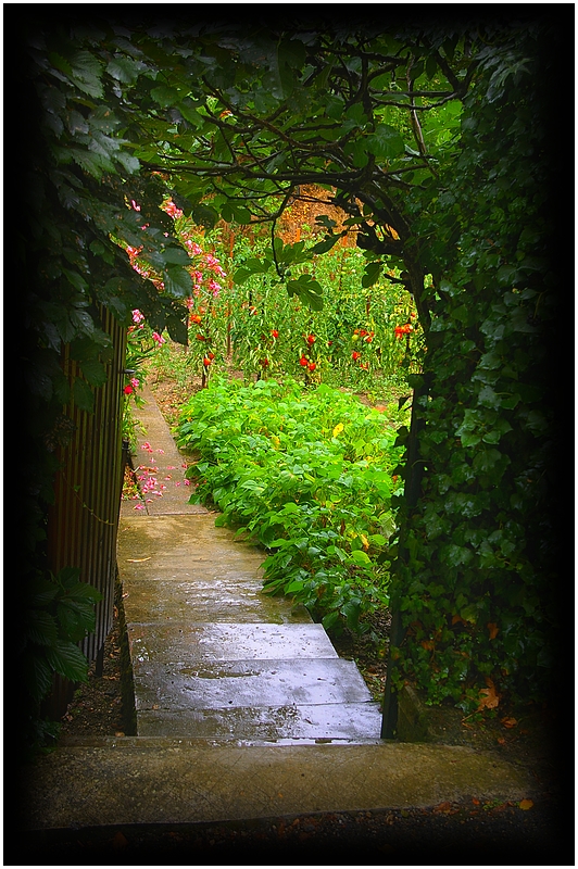 Le potager primeur