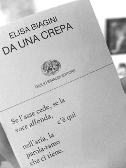 Da una crepa