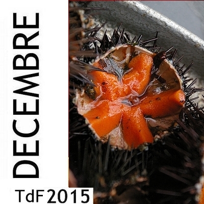 CLIQUER SUR LA PHOTO pour accéder au SOMMAIRE du numéro du mois de décembre 2015 TDF DEC 2015