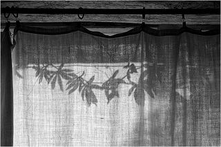 Traces éphémères