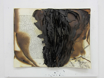Livre brulé