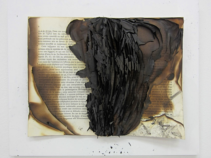 Livre brulé