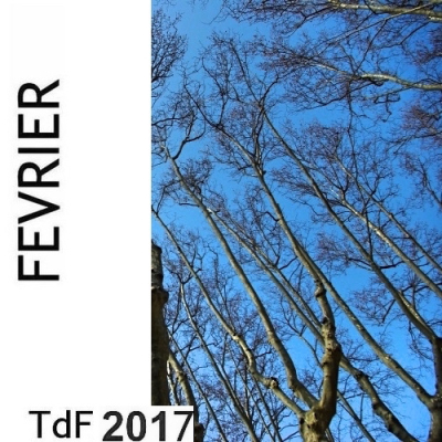 CLIQUER SUR LA PHOTO pour accéder au SOMMAIRE du numéro du mois de février 2017 Tdf fev 2017