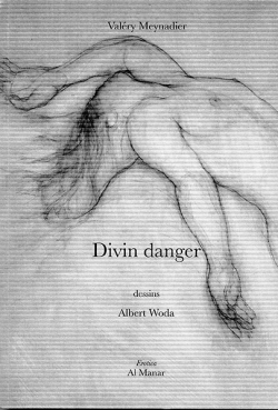Valéry Meynadier  Divin danger