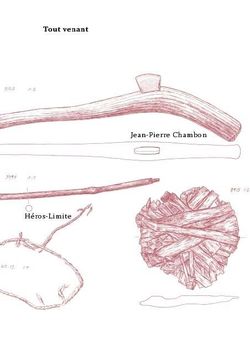 Jean-Pierre Chambon, Tout venant, Héros-Limite, 2014.