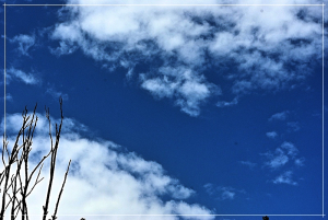 Homme nuage