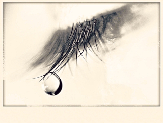 Opticien de l’amour, géomètre des larmes,