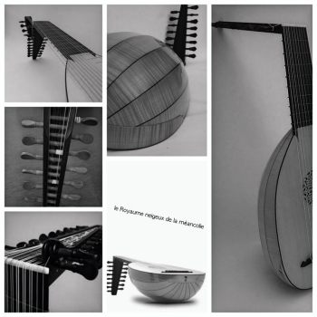 Luth noir collage