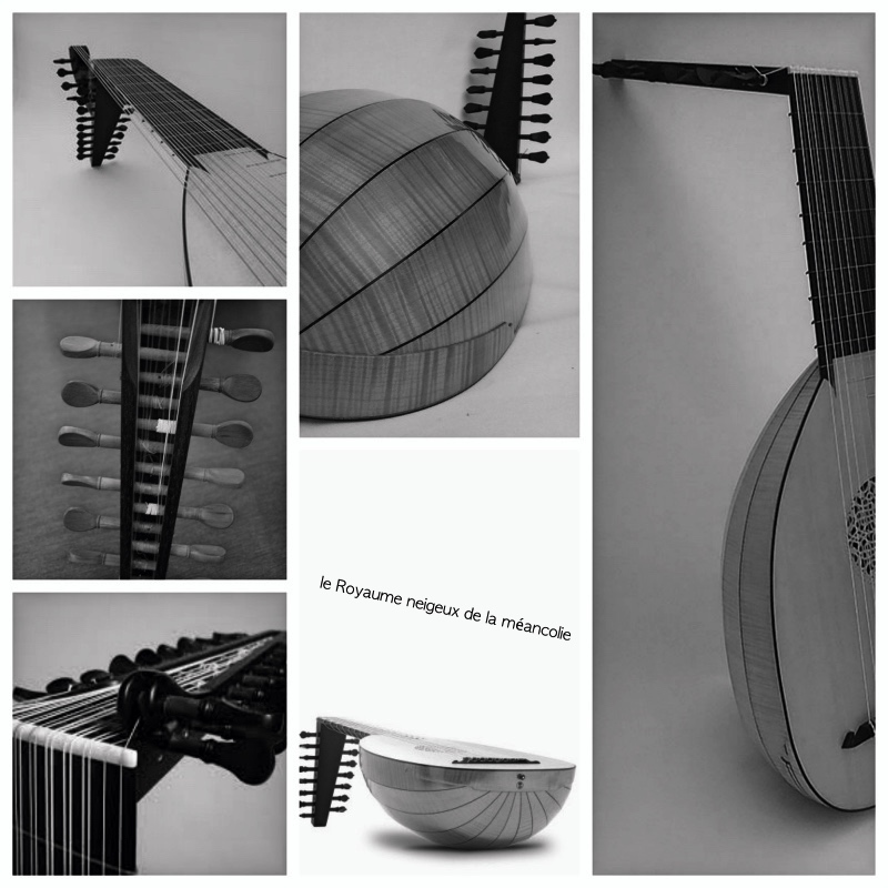 Luth noir collage
