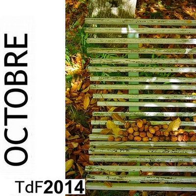 CLIQUER SUR LA PHOTO pour accéder au SOMMAIRE du numéro du mois d'octobre 2014 TDF octobre 2014