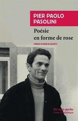 Pier Paolo rose 2