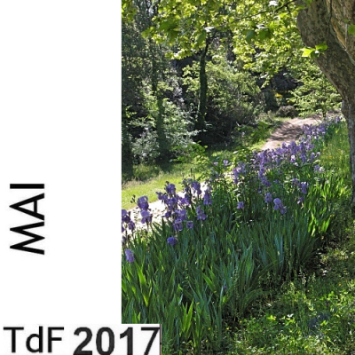 CLIQUER SUR LA PHOTO pour accéder au SOMMAIRE du numéro du mois de mai 2017 TDF MAI 2017