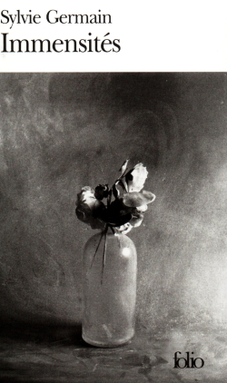 Sylvie Fermain  Immensités