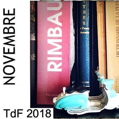 CLIQUER SUR LA PHOTO pour accéder au SOMMAIRE du numéro du mois de novembre 2018 TDF NOVEMBRE 2018