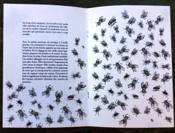Jean-Pierre Chambon, Noir de mouches, éditions L’Auberge des vents, Grenoble, 2018. Chambon Mouches 2