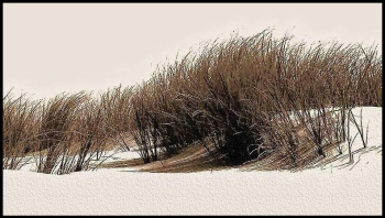 Toujours une dune