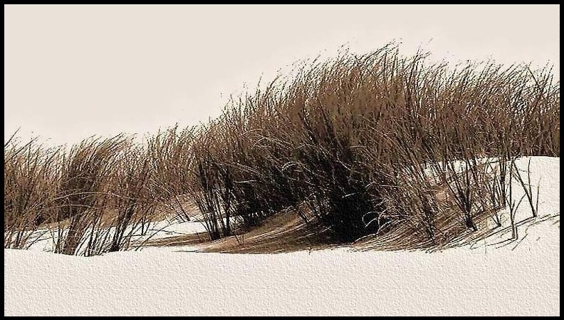 Toujours une dune