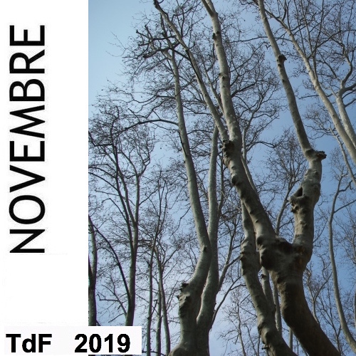 TDF NOVEMBRE 2019 