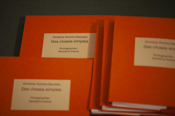 Christine Duminy-Sauzeau, Des choses simples, Zinzinule Éditions, 69006 Lyon, 2019. Christine Duminy-Sauzeau Des choses simples