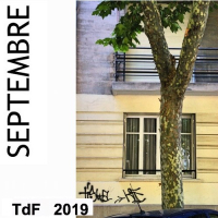 TDF SEPT 2019