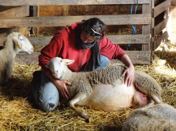 Florence Robert et l'une de ses brebis