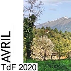 TDF AVRIL 2020
