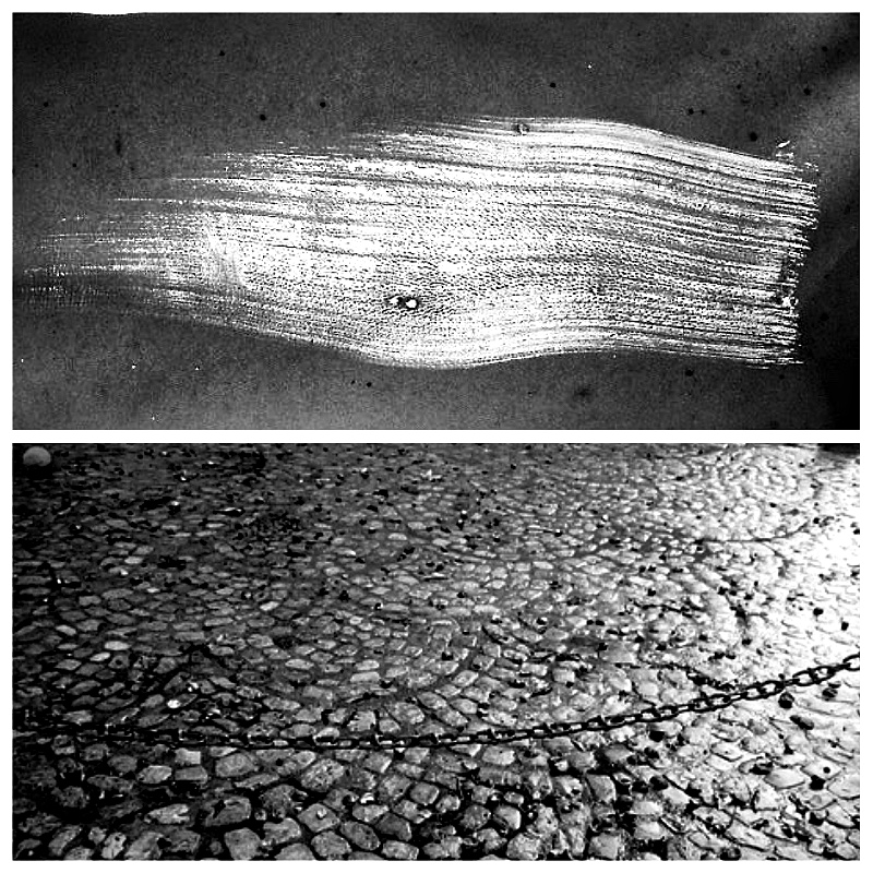 Le gris souffre. Le gris n’est pas une couleur