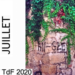 TDF JUILLET 2020