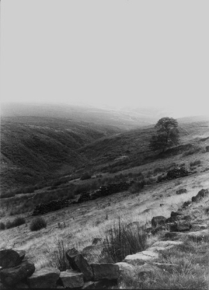 Haworth