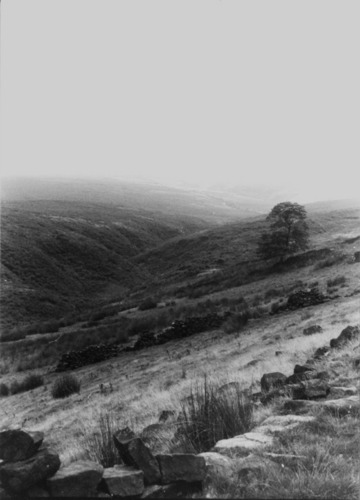 Haworth