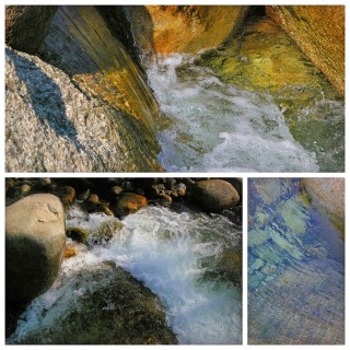TORRENT 