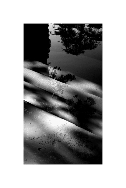 Lumiere affranchissement