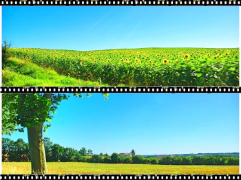 Images en fuite