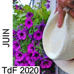 TDFJUIN 2020