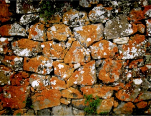 Via Sacra
