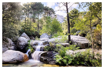 CASCADE