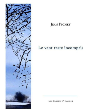 Jean Pichet  Le vent reste incompris 2