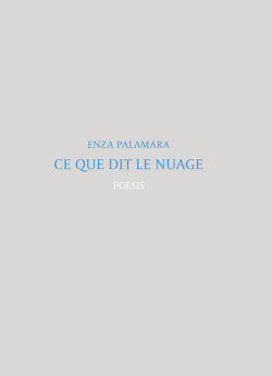 Enza Palamara  Ce que dit le nuage