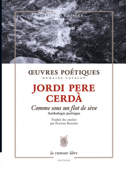 Cerda
