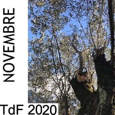 CLIQUER SUR LA PHOTO pour accéder au SOMMAIRE du numéro du mois de novembre 2020 TDF NOVEMBRE 2020