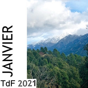 TDF JAN 21