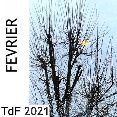 Terres de femmes n° 195 ― février 2021 TDF FEV 21