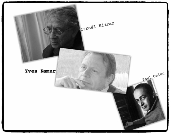 Collage pour Yves Namur