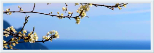 LIGURIA
